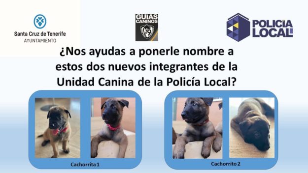 CACHORRO POLICÍA1 20-10-23