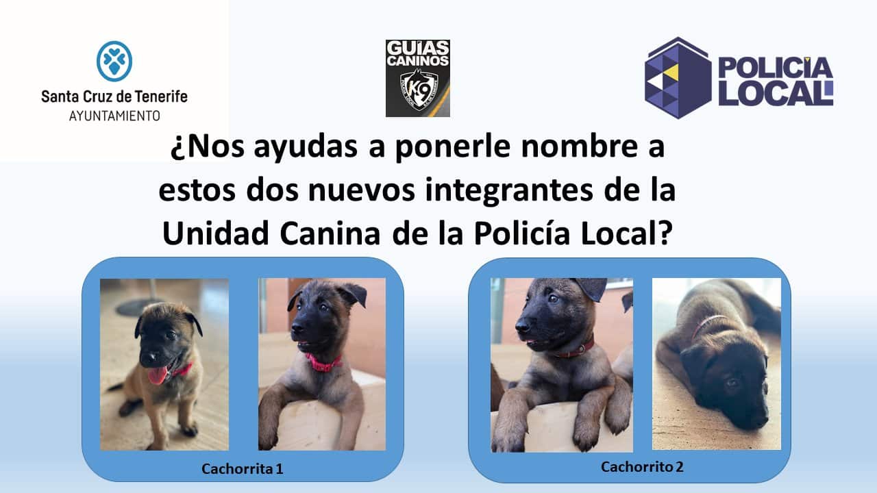 CACHORRO POLICÍA1 20-10-23