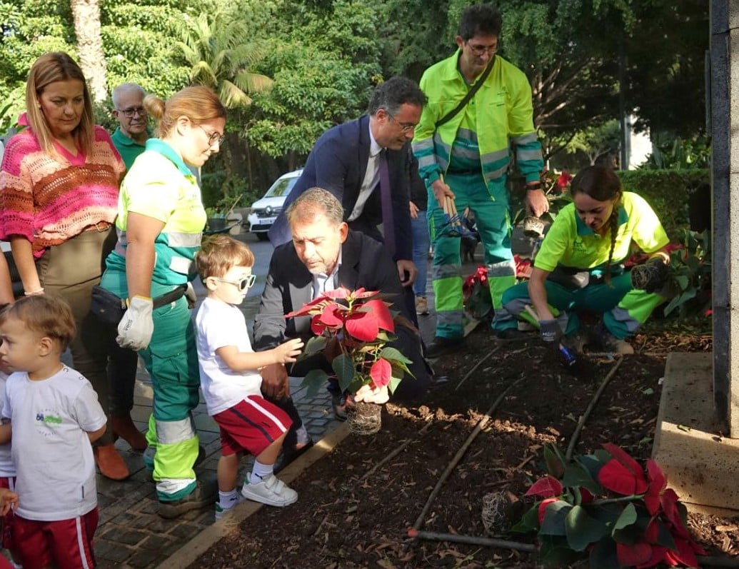 20231120 Inicio campaña flores de pascua