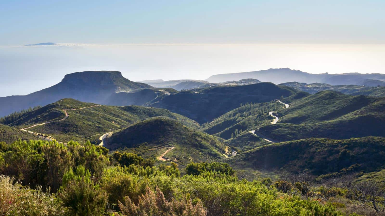 241123 Alto-de-Garajonay-La-Gomera
