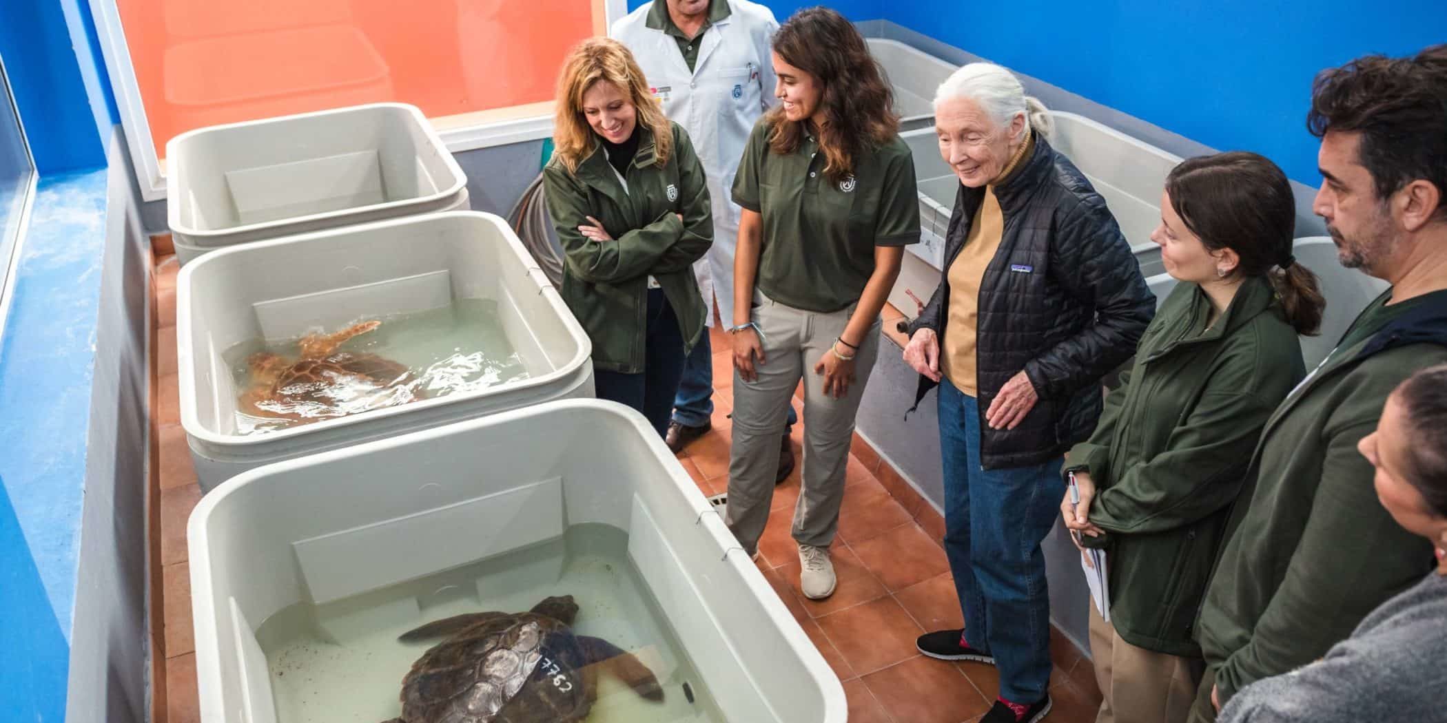 CRFS La Tahonilla-Visita Jane Goodall (1)