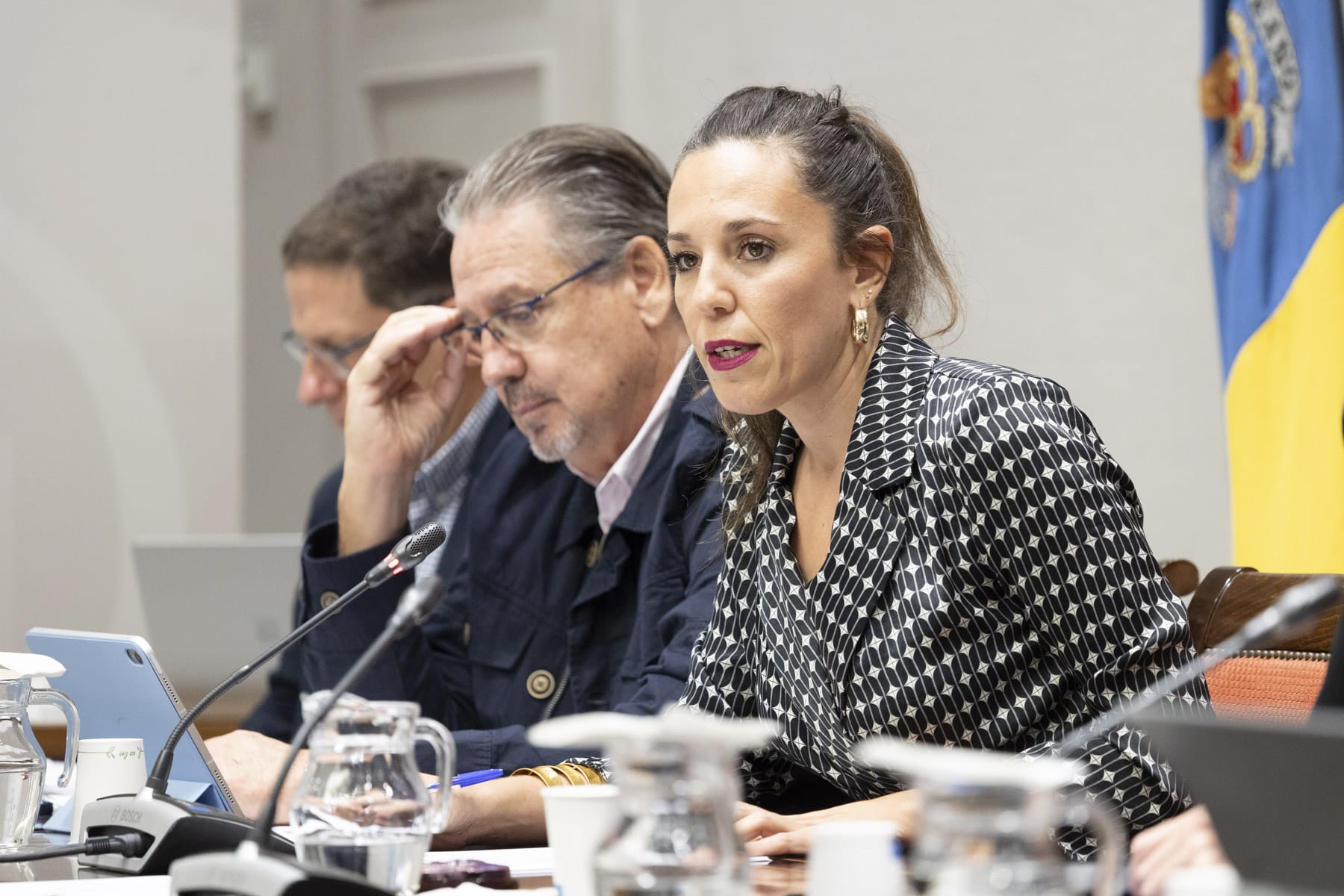 Comision Presupuestos Turismo011