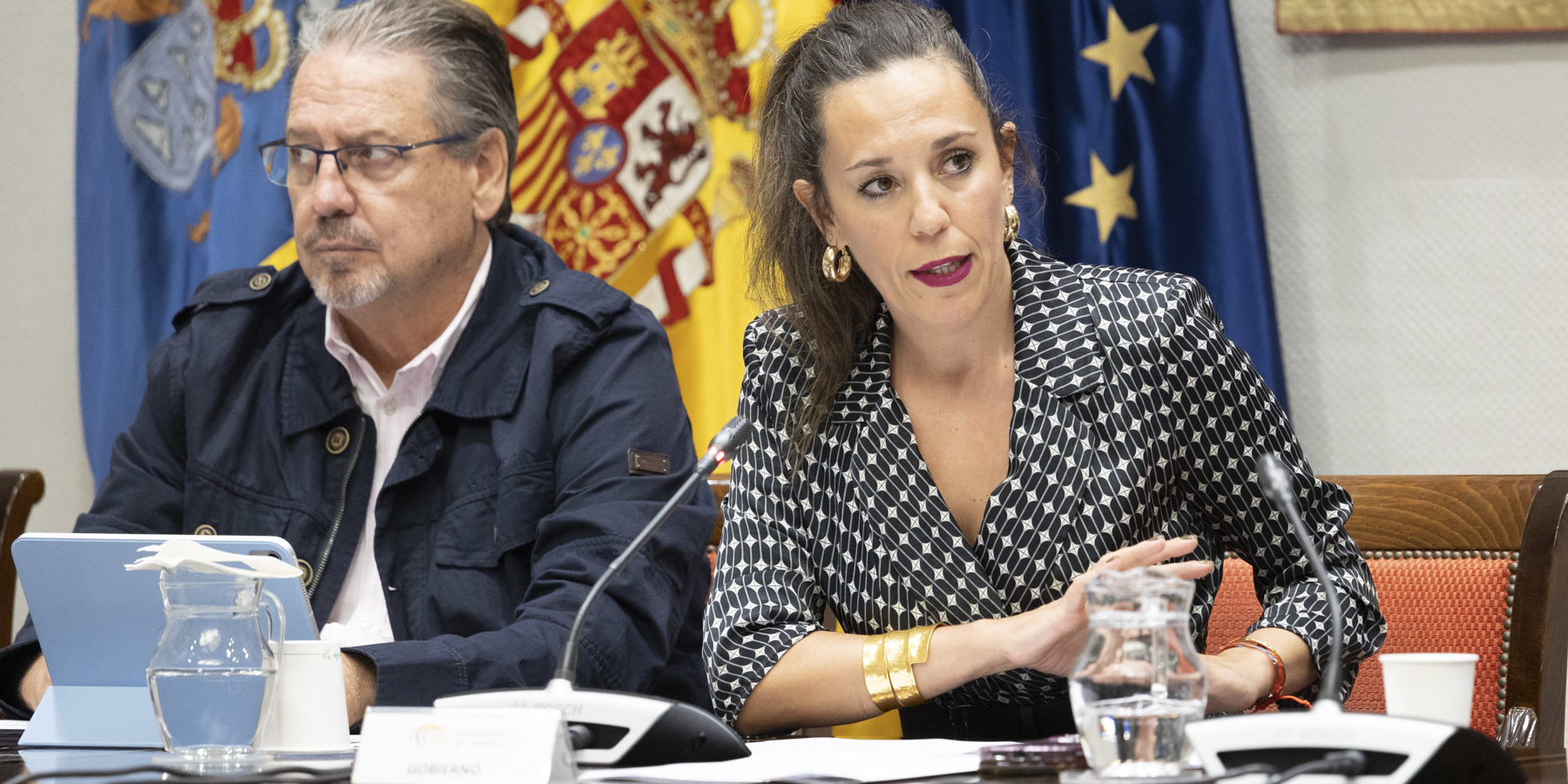Comision Presupuestos Turismo015