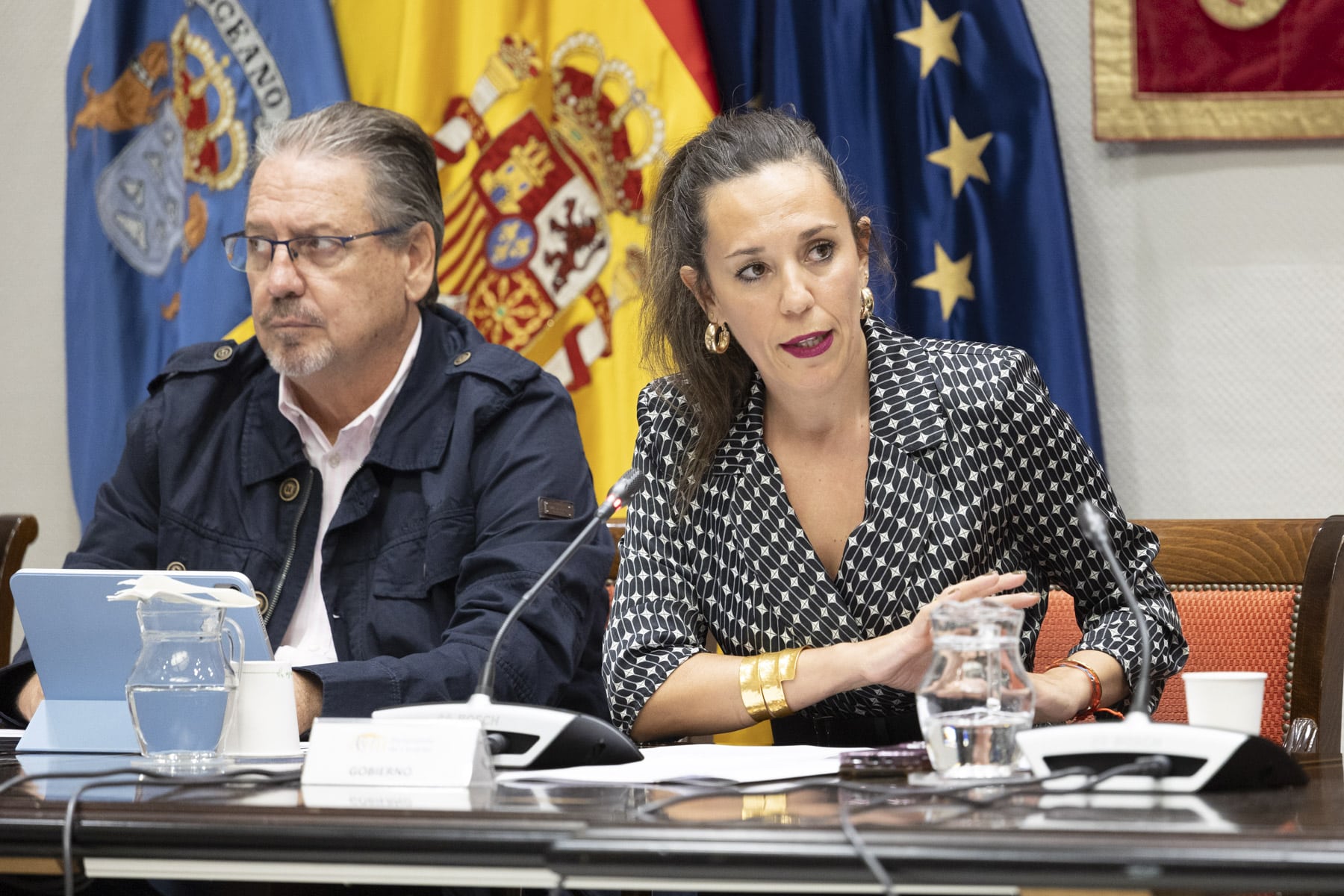 Comision Presupuestos Turismo015