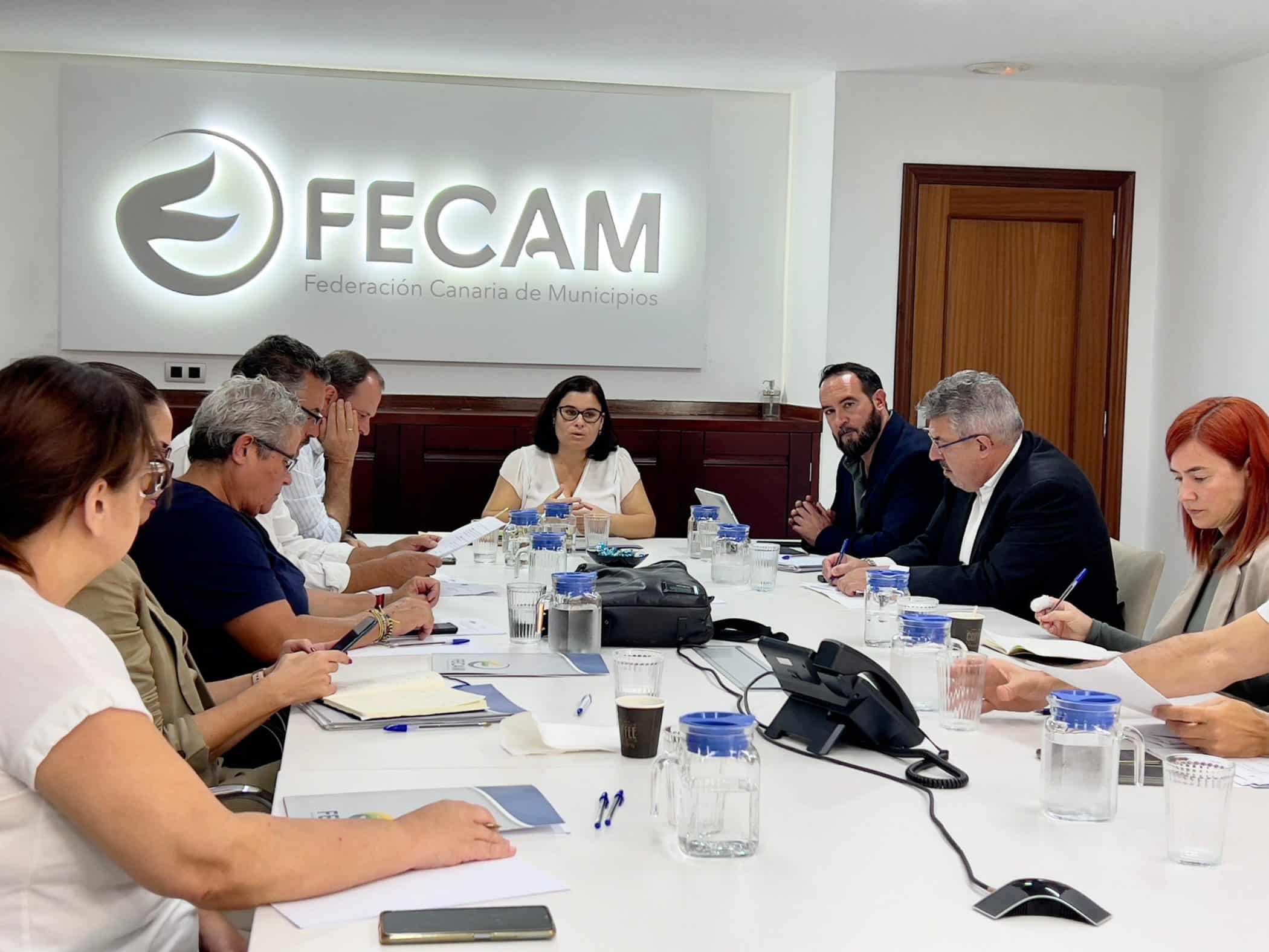 Reunión FECAM Viceconsejería Cohesión Territorial (2)
