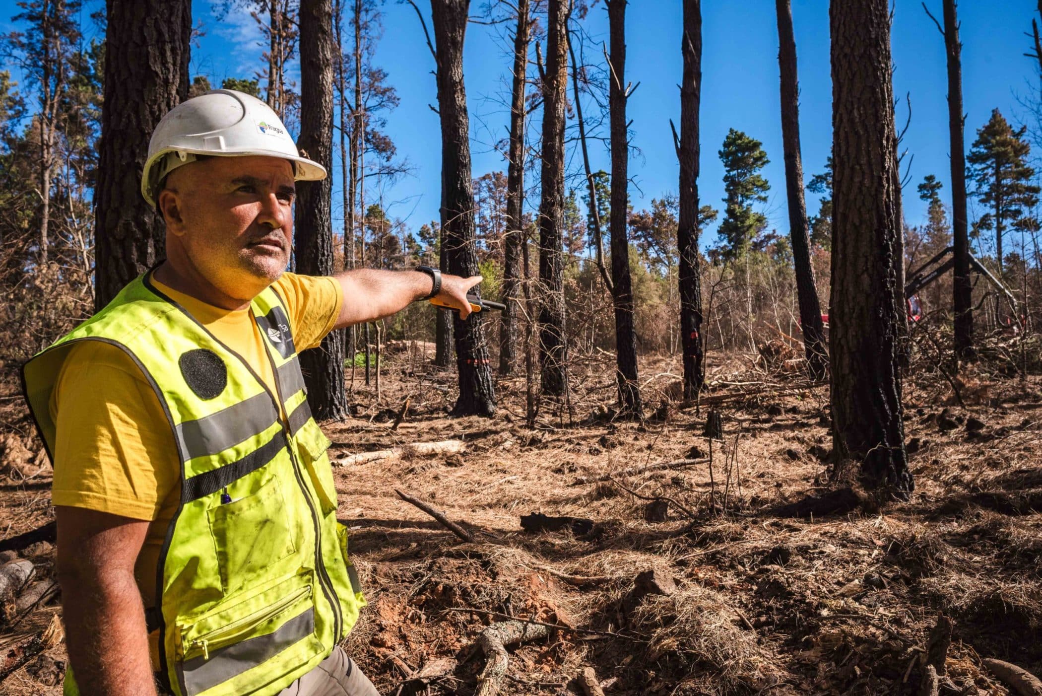 Montes afectados incendio