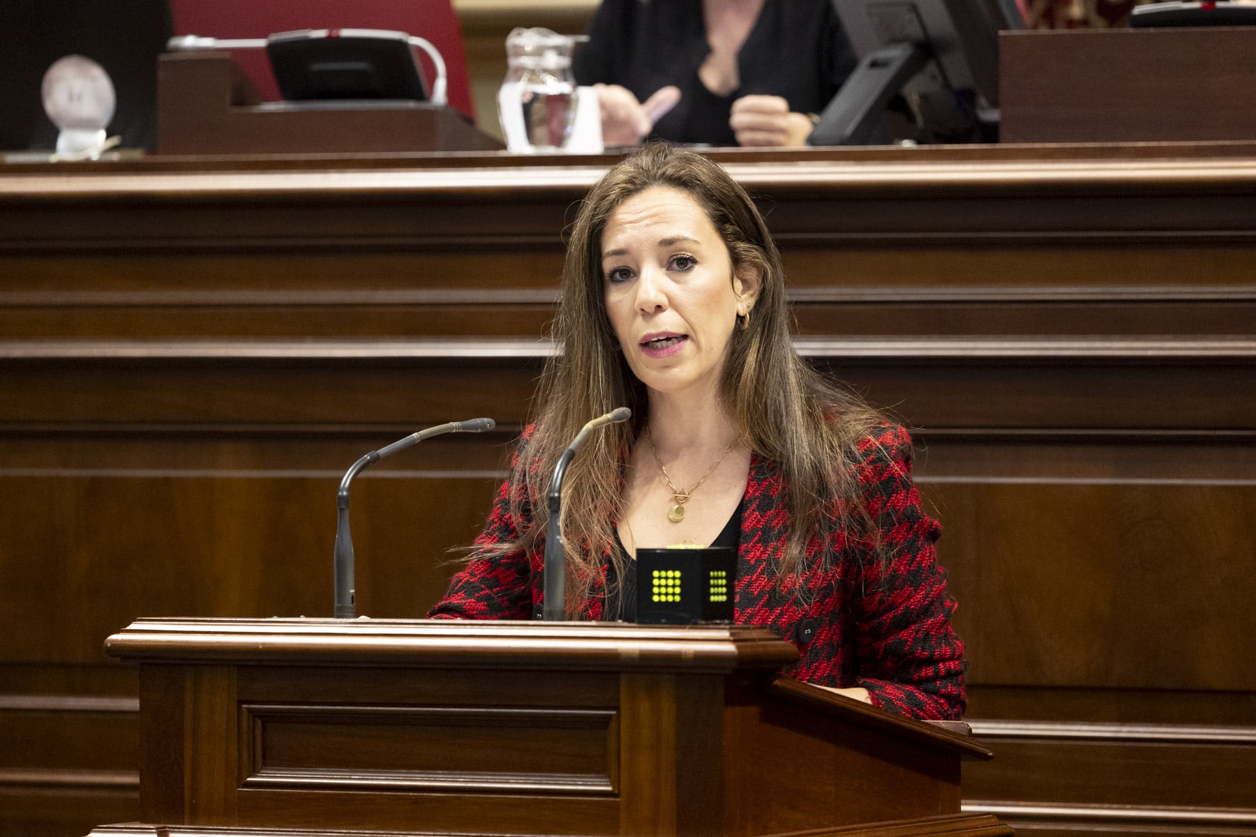 Pleno Parlamento 025