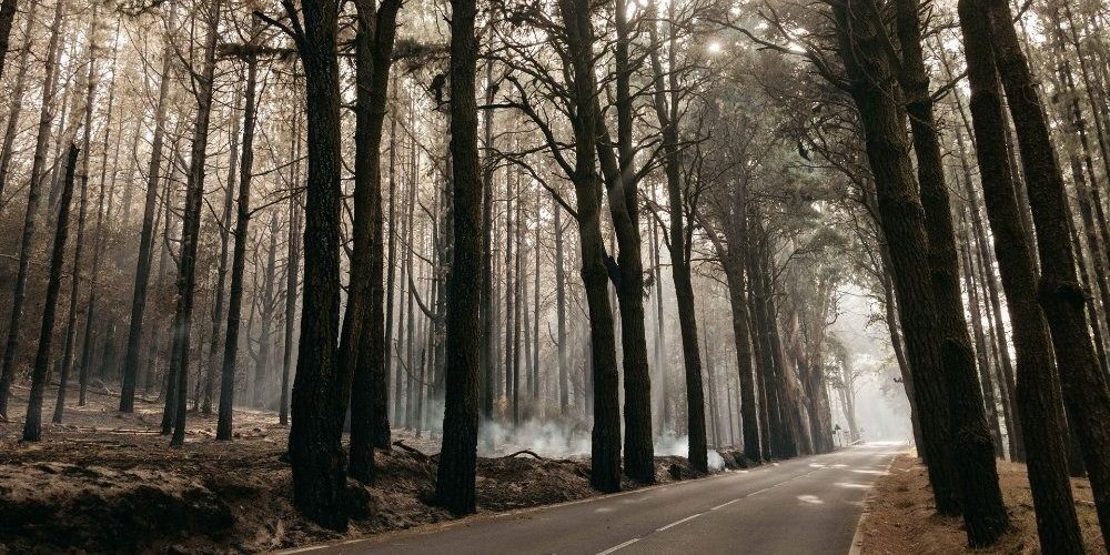 El Cabildo de Tenerife abre los accesos al Teide por La Esperanza y La Orotava con restricciones