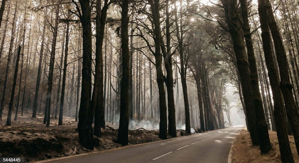 El Cabildo de Tenerife abre los accesos al Teide por La Esperanza y La Orotava con restricciones