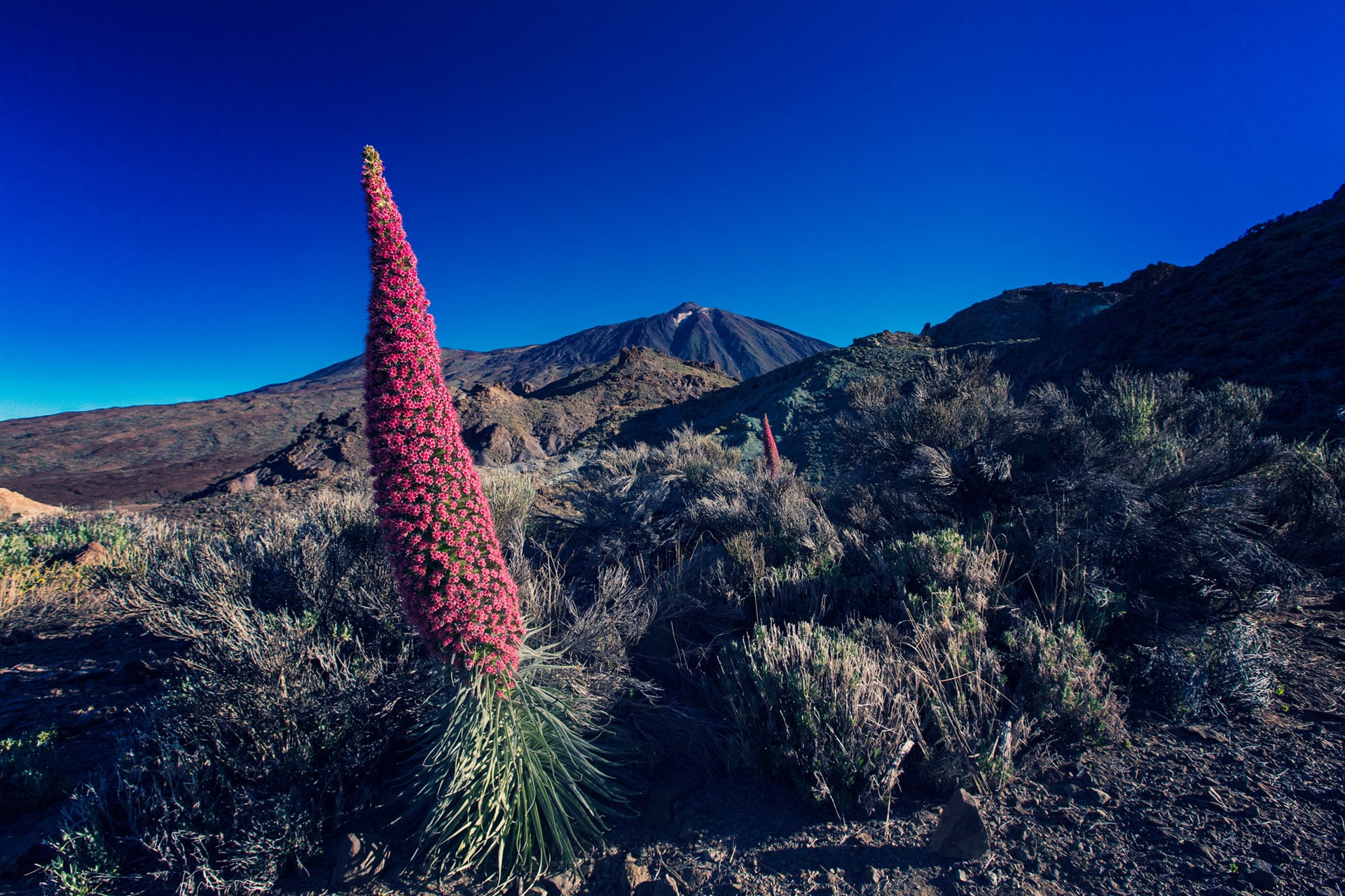 Teide (1)