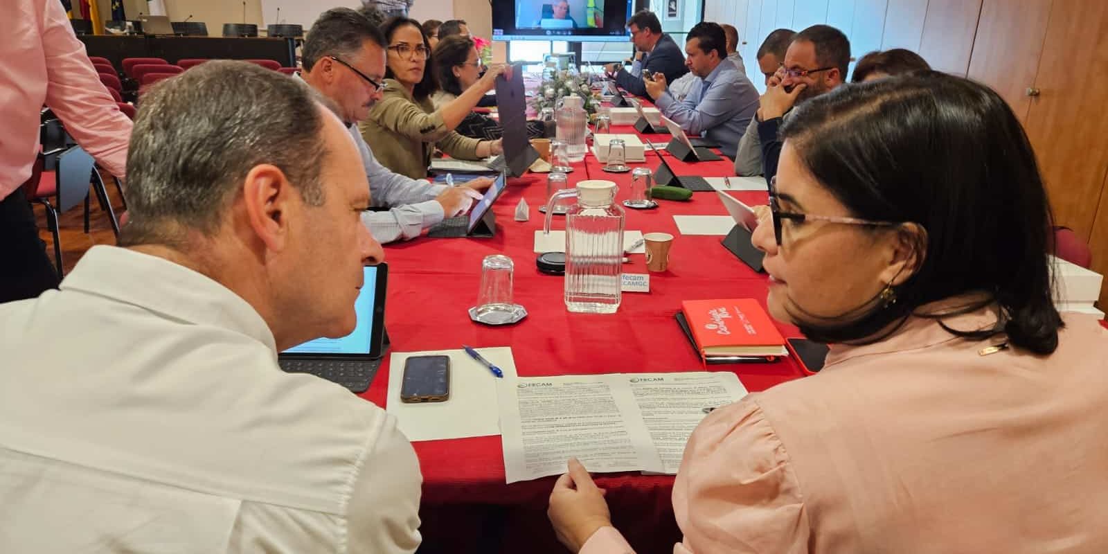 comite14dic