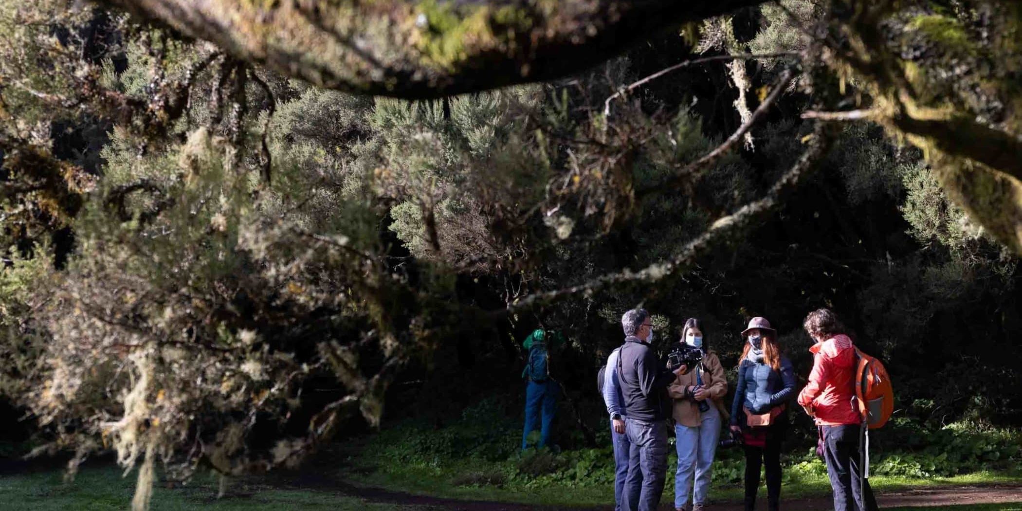 ecophotoelhierro2023