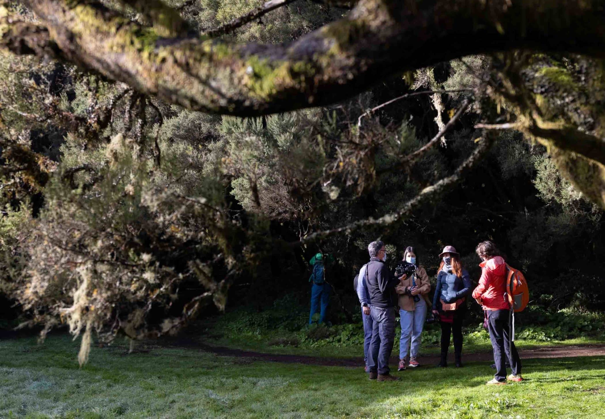 ecophotoelhierro2023
