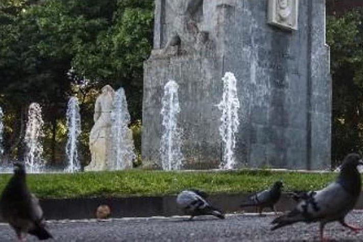 240108 Palomas