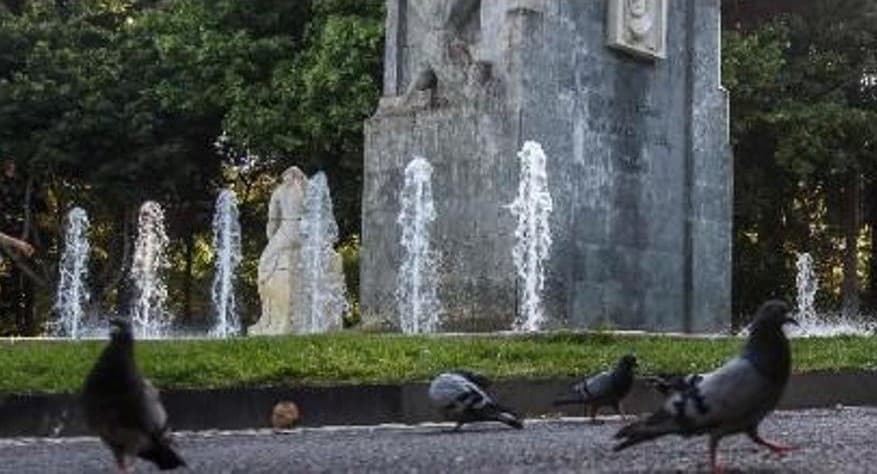 240108 Palomas