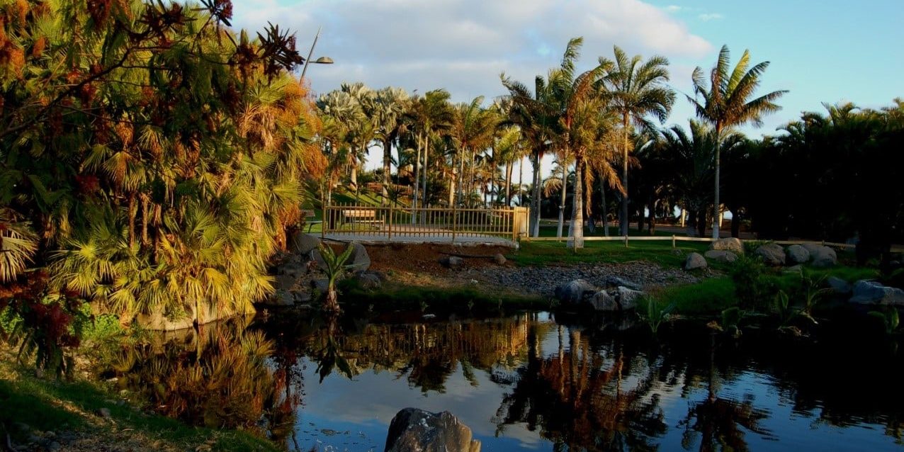 240113 Palmetum de Santa Cruz