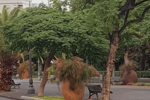 240122 Rambla de Las Tinajas