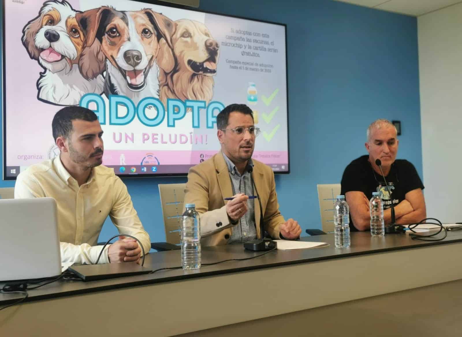 300124 Denuncia abandono de perros en Los Realejos