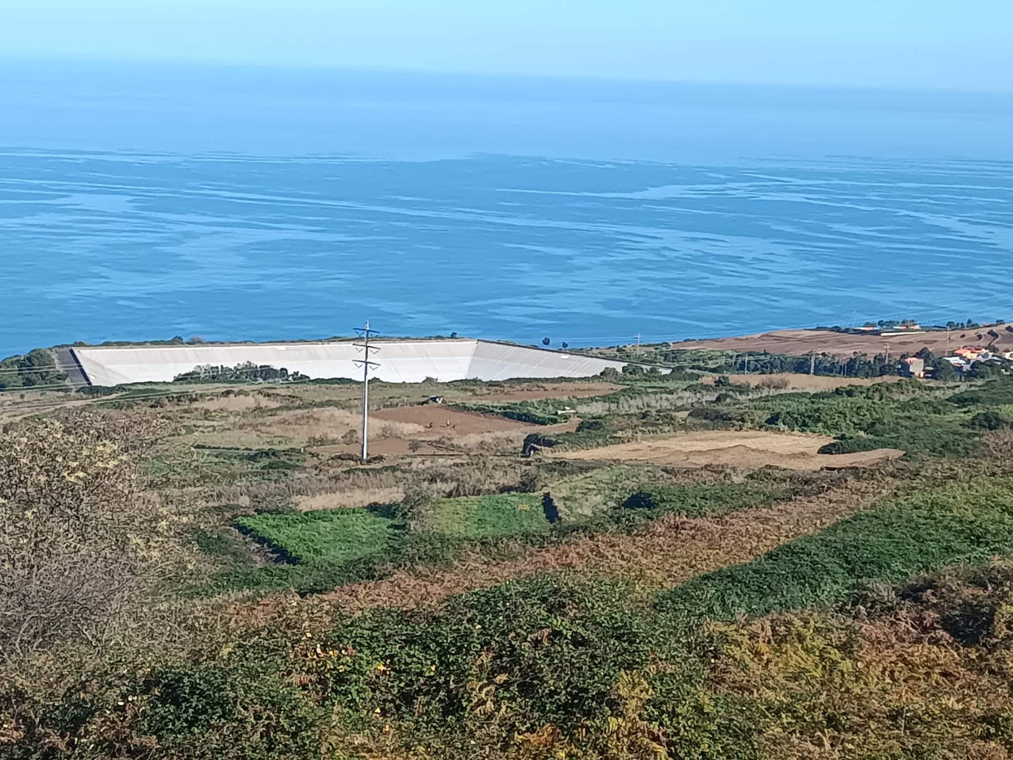 Balsa