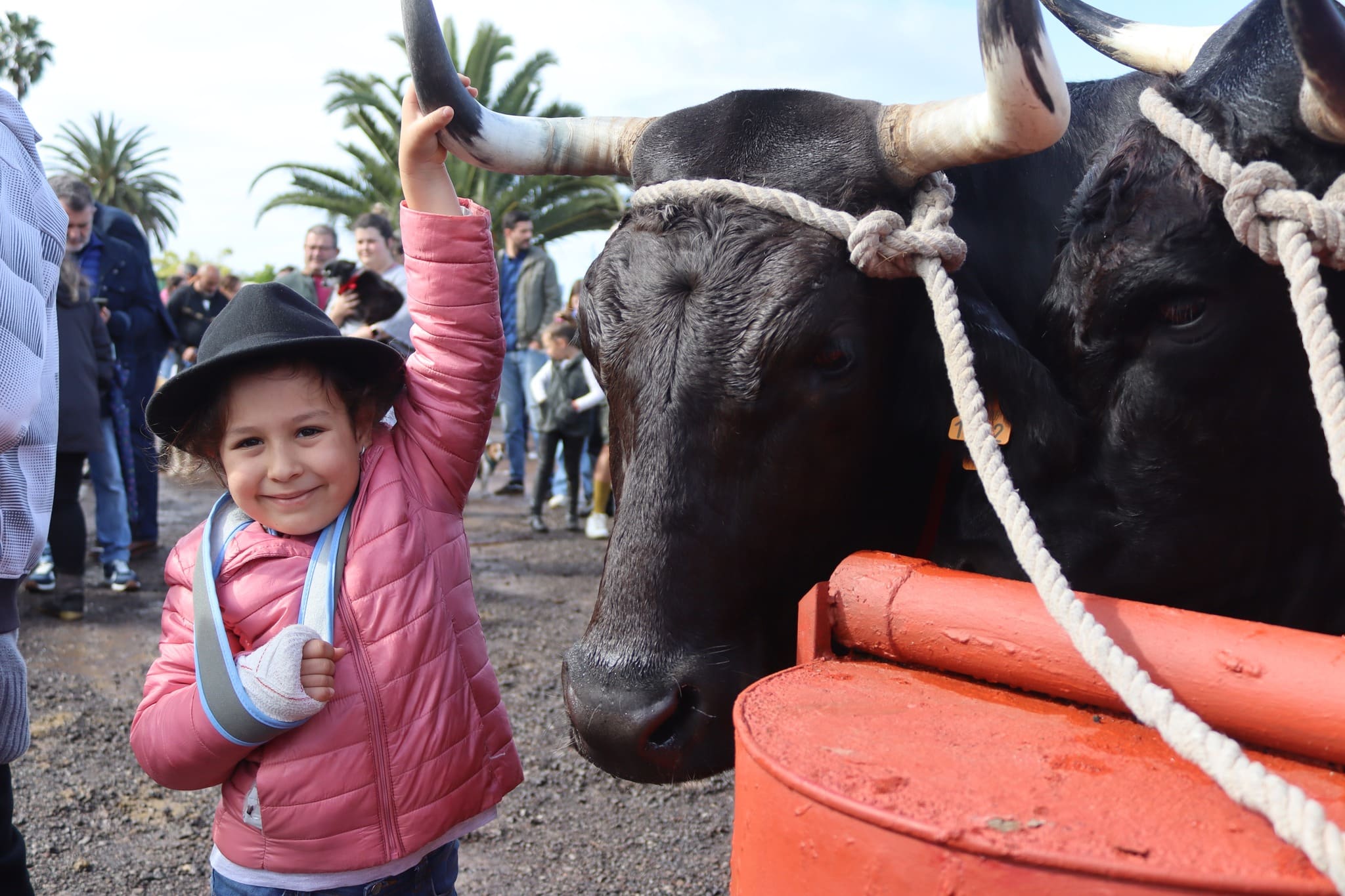 FERIA DE GANADO 2023 TACORONTE