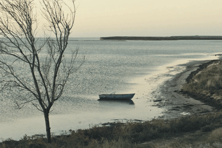 Homeward2