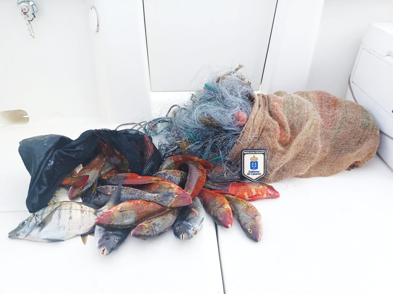 INSPECCIÓN PESQUERA-PESCA FURTIVA EN TENERIFE 25-1-24