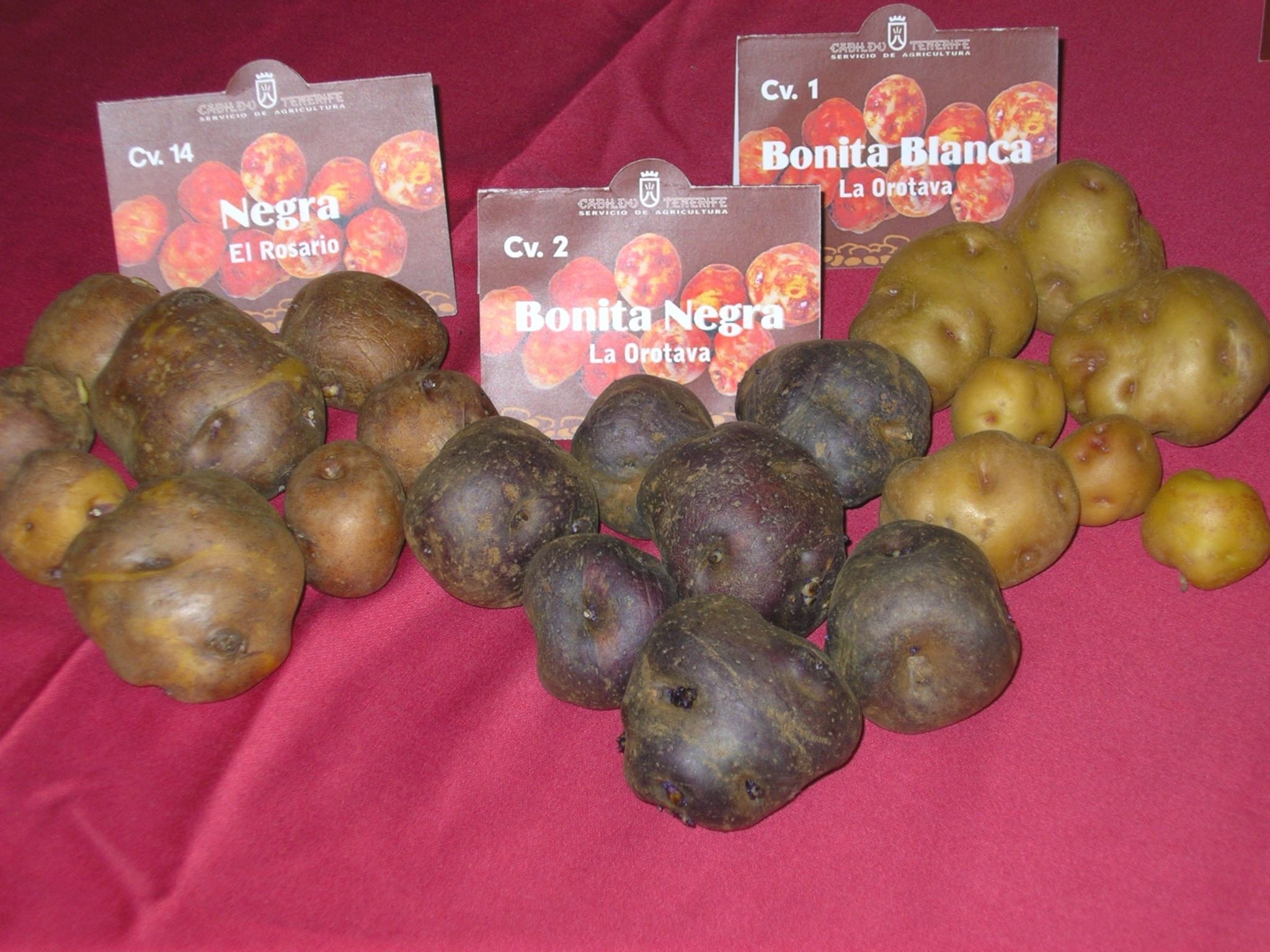 Papas Antiguas