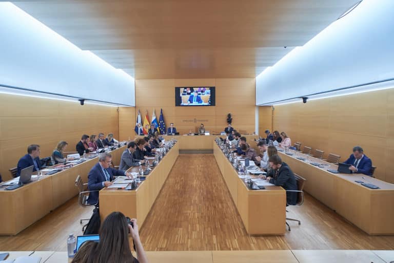 Pleno ordinario