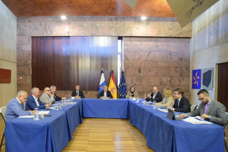 REUNIÓN DEL EJECUTIVO CANARIO-GRUPOS DE MENORES 31-1-24