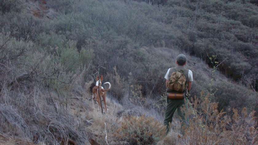 210224 Caza en la isla de La Gomera