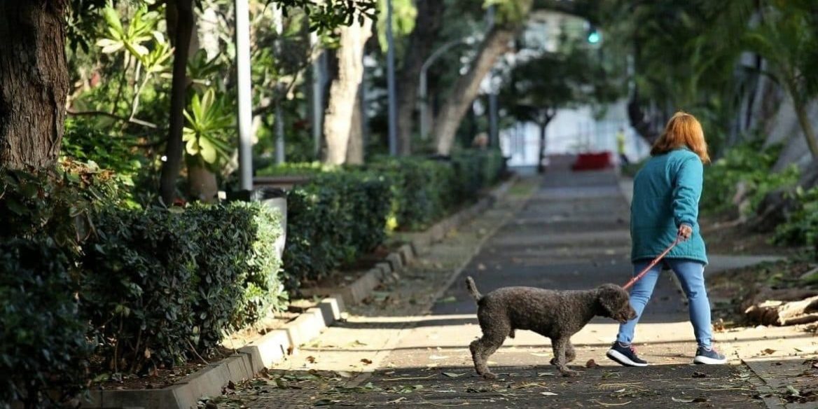 240216 Sanciones perros
