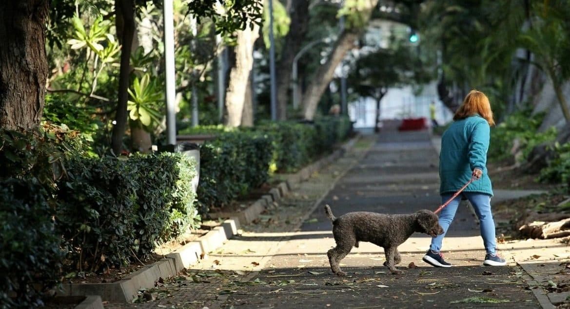240216 Sanciones perros
