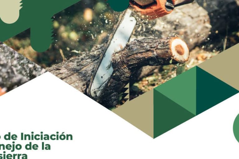 CURSO DEL MANEJO DE LA MOTOSIERRA EN TACORONTE 21-2-24