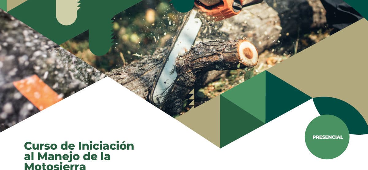 CURSO DEL MANEJO DE LA MOTOSIERRA EN TACORONTE 21-2-24