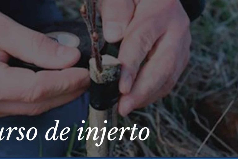 Cartel del curso de poda e injerto