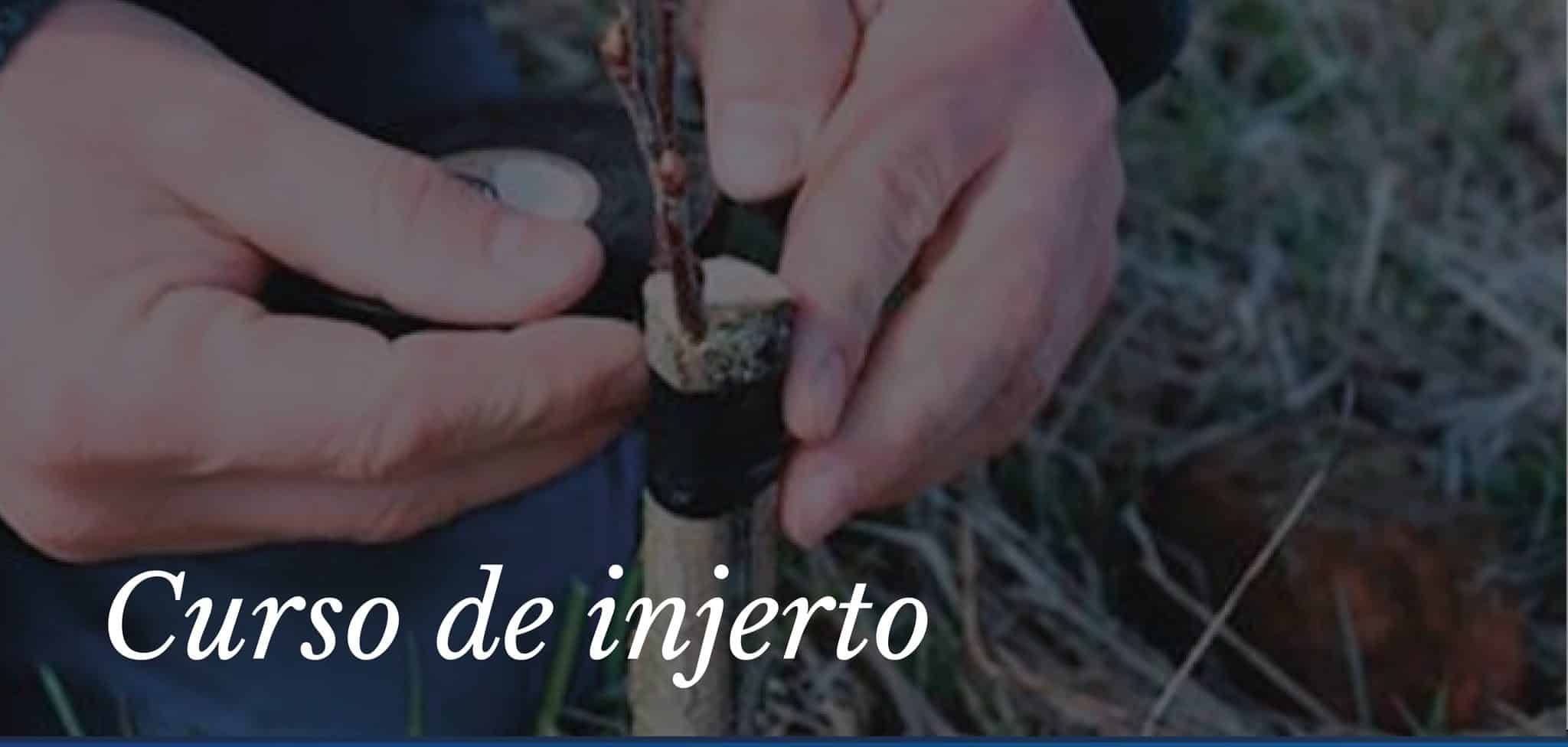 Cartel del curso de poda e injerto