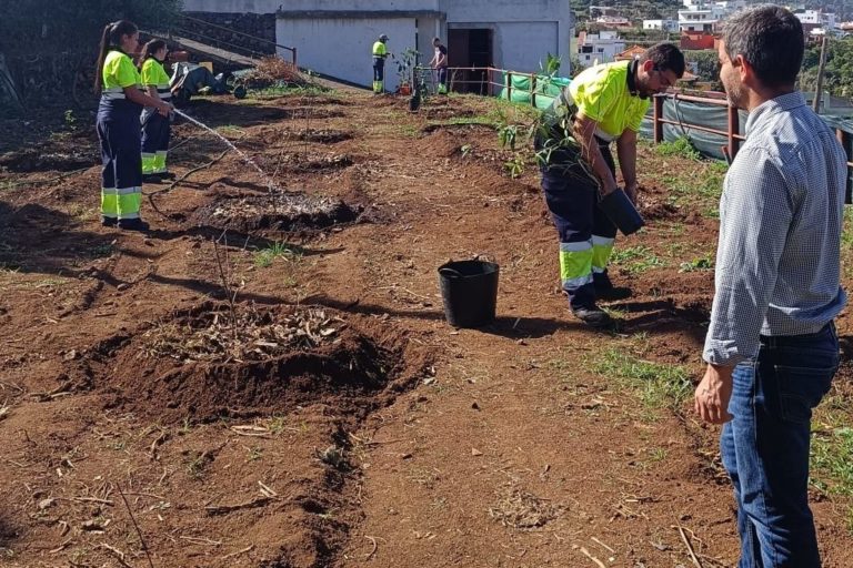 Juan Siverio en los terrenos del nuevo jardín frutal