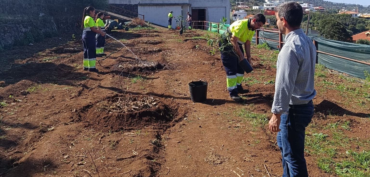 Juan Siverio en los terrenos del nuevo jardín frutal