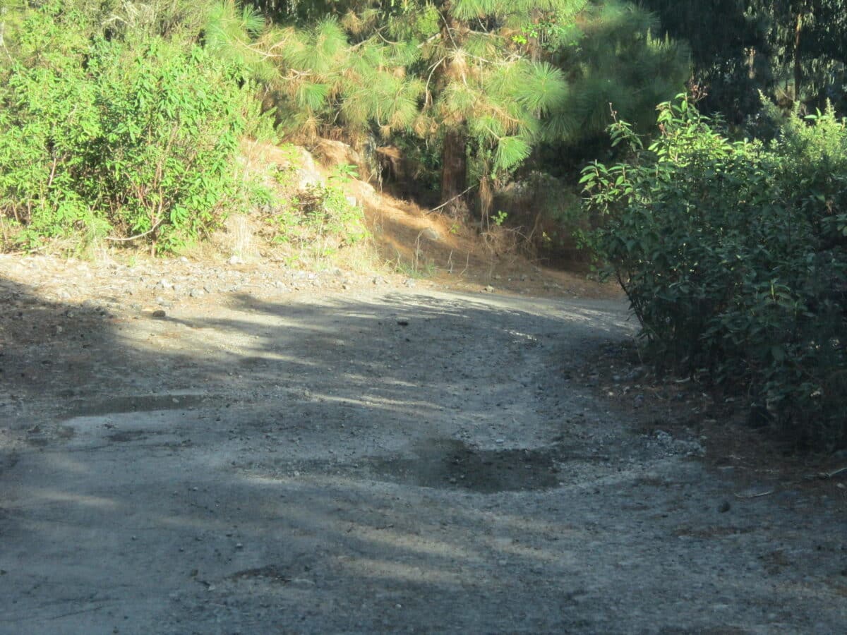 Pista-La-Tahona-2