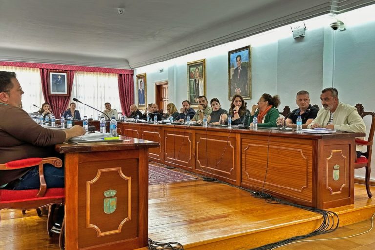 Pleno El Mojón Arona