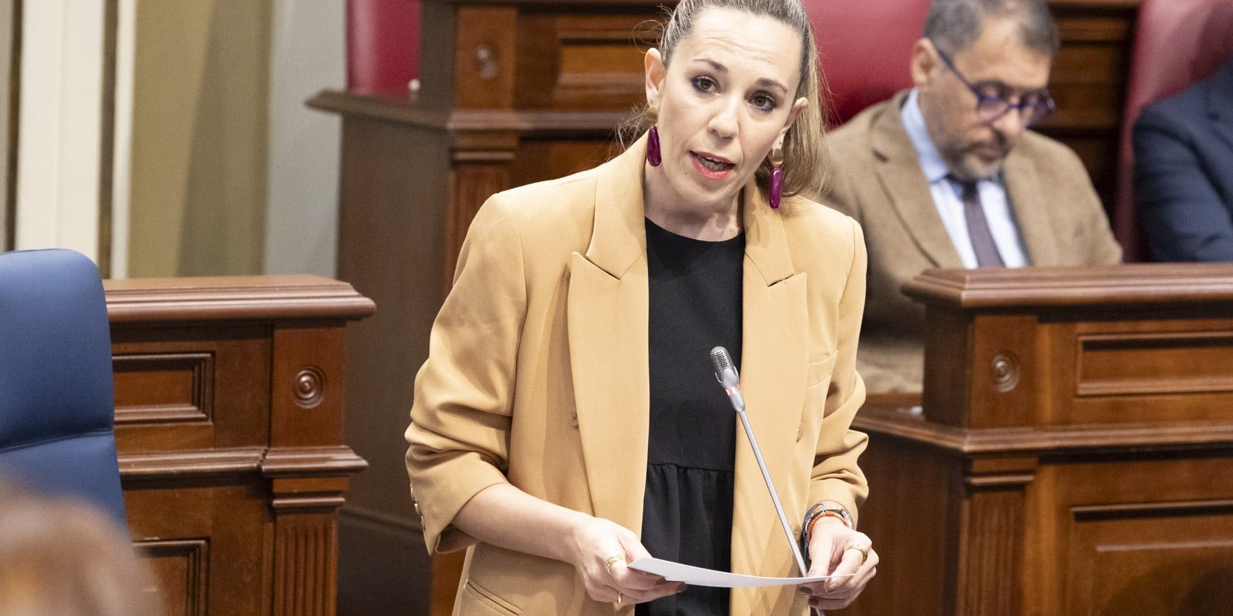 Pleno Parlamento 052