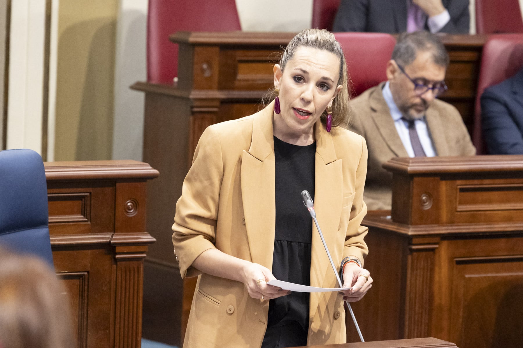Pleno Parlamento 052