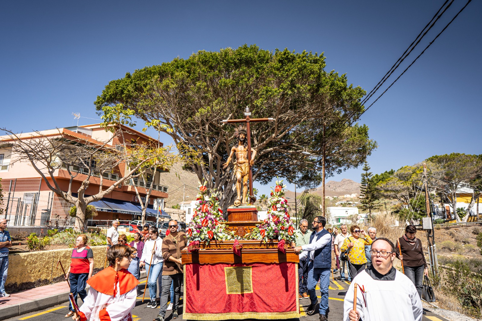 Rogativa libre uso
