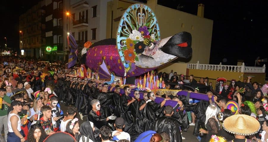 SARDINA DE SAN ANDRÉS Y SAUCES 23-2-24