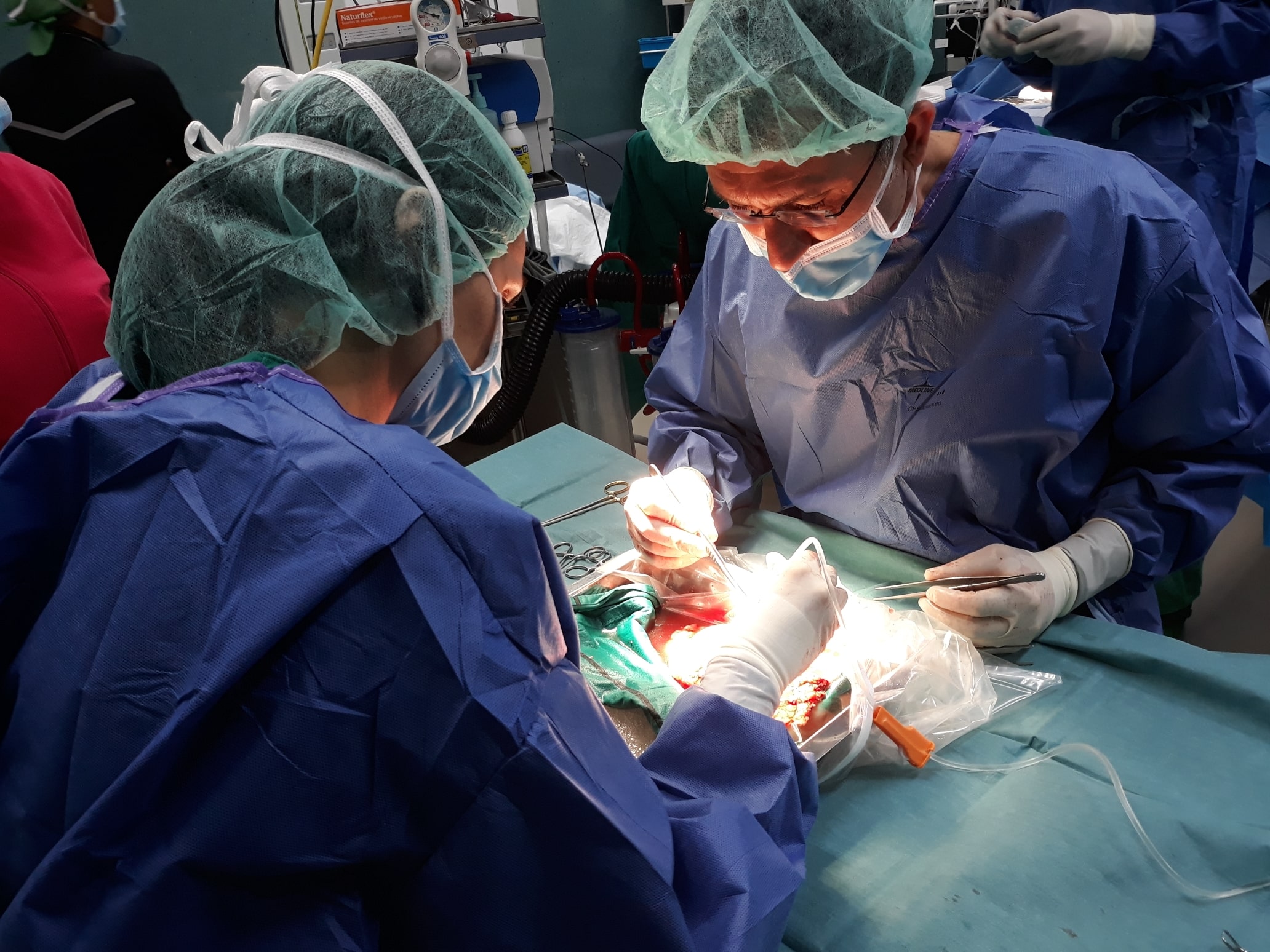 Tx renal de vivo- perfusión riñón