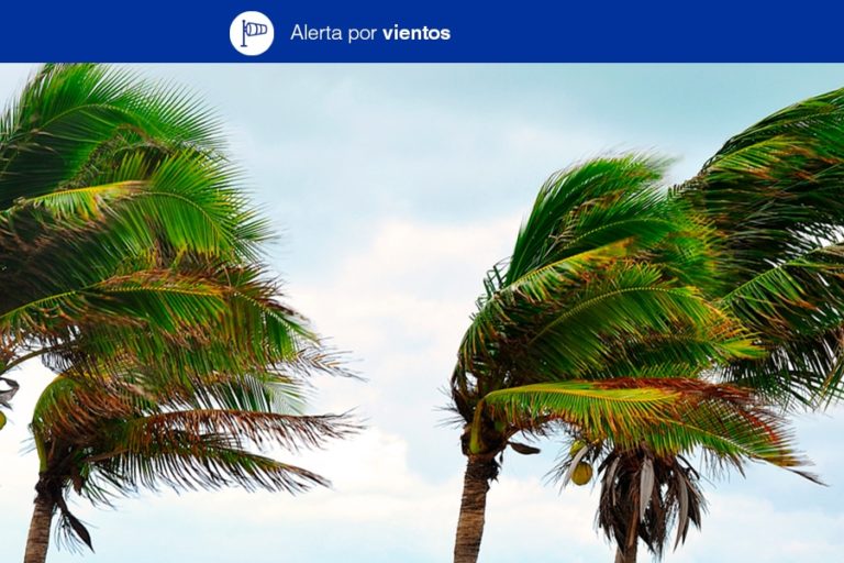 VIENTOS EN CANARIAS2 27-2-24