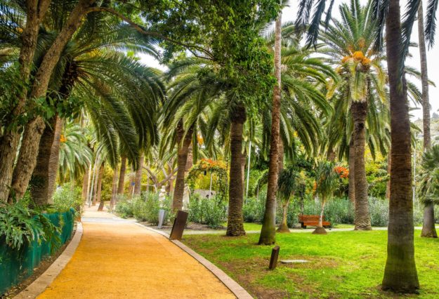 240325 Parque García Sanabria