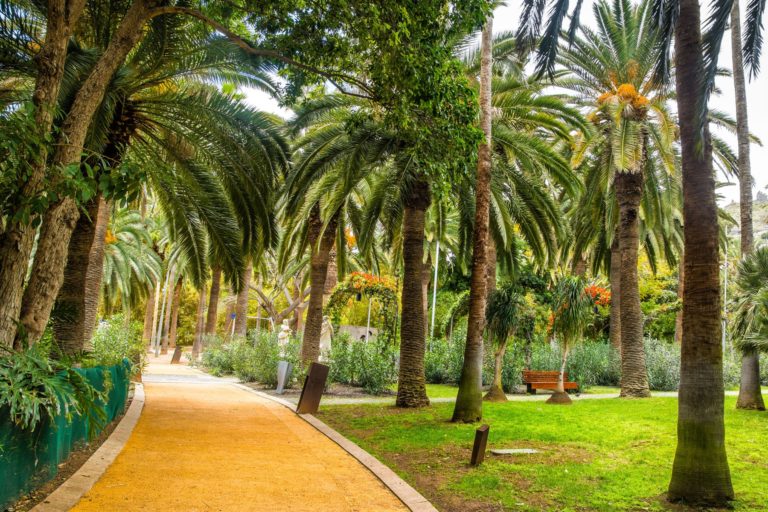 240325 Parque García Sanabria