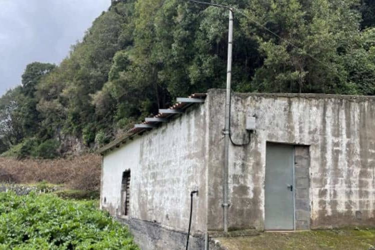 280324 Vivero de El Cedro