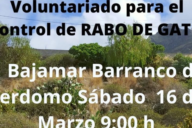 Bajamar